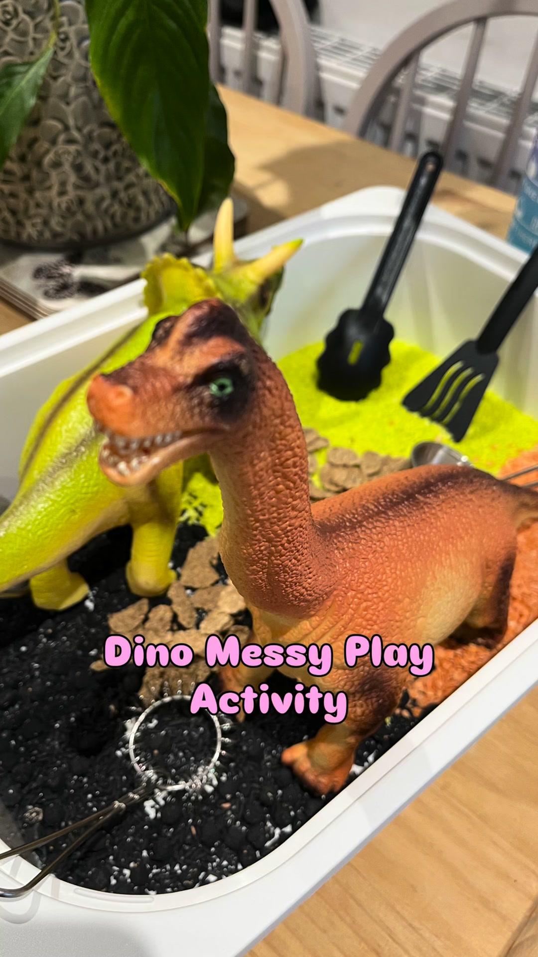 Instagram post from @littlelegswithcharlotte